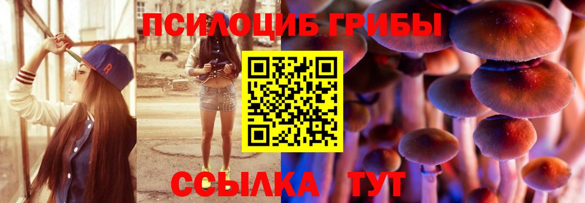 цена наркотик  Вход с VPN  Дивногорск  Псилоцибиновые грибы Cubensis 